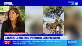 Tous terrains du lundi 16 décembre - Cagnes : le Meeting d'Hiver de l'Hippodrome
