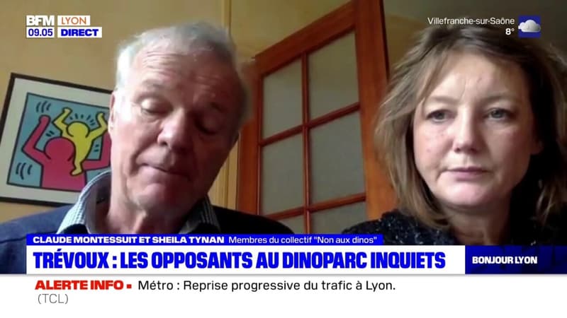 Trévoux: des travaux auraient démarrés selon les opposants au Dinoparc
