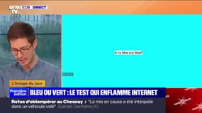 L'image du jour : Bleu ou vert, le test qui enflamme Internet - 19/09