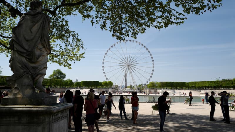 Le jardin des Tuileries (illustration)