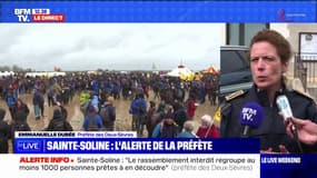 Sainte-Soline: la préfète des Deux-Sèvres confirme la présence "d'au moins 1000 personnes" prêtes à en découdre