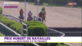 Courses hippiques: revivez le prix Hubert de Navailles à Auteuil