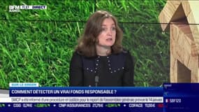  Sur le green: Comment détecter un vrai fonds responsable ? - 06/01