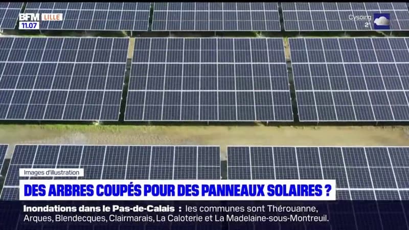Biache-Saint-Vaast: l'inquiétude des habitants de voir un terrain boisé désigné comme lieu possible pour accueillir des panneaux solaires