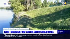 Une mobilisation prévue à Lyon contre le projet de barrage sur le Rhône