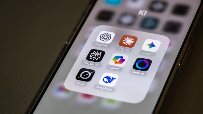 Psychose, "suicides assistés" et "morts injustifiées": des psychiatres sonnent l'alerte sur les chatbots qui peuvent entretenir les délires des utilisateurs