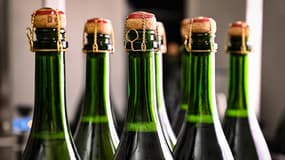 Champagne (illustration)