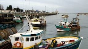 "Aujourd'hui, on a quand même près de 80% de la flotte qui est le long du quai", selon Olivier Le Nézet, président du Comité régional des pêches de Bretagne.