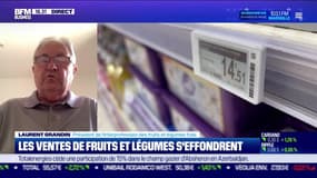 Les ventes de fruits et légumes s'effondrent - 04/08