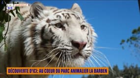 Découverte d'ici : au coeur du parc animalier la Barben