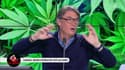 "Je suis dans un champ de cannabis !", Alain Marschall