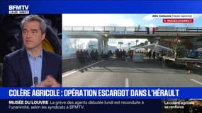 Dermatose nodulaire: les vétérinaires de l'armée vont être mobilisés