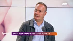 Baisse de la natalité : "Les bébés qui ne sont pas nés, ne naîtront jamais"