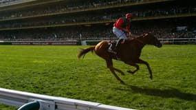 Les 5 000 entrées du Prix de l'Arc de Triomphe seront réservées aux professionnels des courses