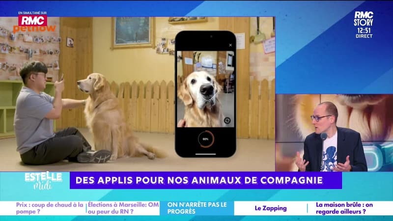 On n'arrête pas le progrès : Des applis pour nos animaux de compagnie - 05/03