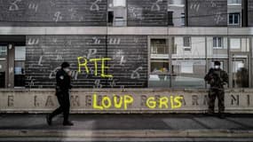 Qui se cache derrière le mouvement ultra-nationaliste turc des "Loups Gris", que le gouvernement français va dissoudre?