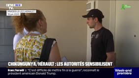 Chikungunya à Héraul 