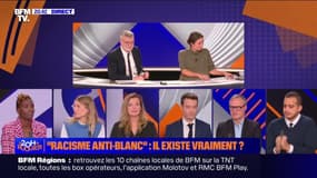 Le 20h de Ruquier – "Racisme anti-blanc" : il existe vraiment ? - 29/11