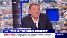 "Une mesure sévère et humiliante": l'avocat d'Anouchka Delon réagit à la mise sous curatelle d'Alain Delon 