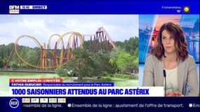 "On a besoin de se préparer": le Parc Asterix annonce le recrutement de 1000 saisonniers malgré la crise sanitaire 