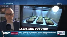 La chronique d'Anthony Morel : La maison du futur - 08/01