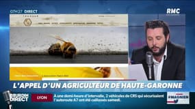 Cet apiculteur reçoit 15.000 lettres... pour des graines
