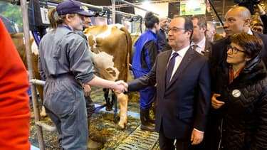François Hollande au Salon de l'agriculture.