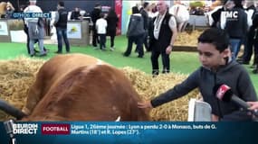 "C'est important de les sensibiliser sur l'environnement": au salon de l'Agriculture, 30% des visiteurs sont accompagnés d'enfants