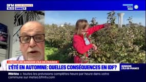 La faune francilienne impactée par l'exceptionnelle douceur de l'automne