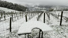 Un vignoble recouvert de neige à Saint-Etienne de Baïgorry (sud-ouest de la france), le 1er avril 2022 