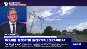 Anton Korynevych, ambassadeur du président Zelensky: "Tous les territoires occupés doivent être libérés"