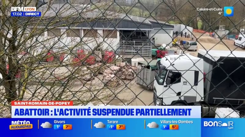 Saint-Romain-de-Popey: la préfecture du Rhône suspend l'activité de l'abattoir visé par L214