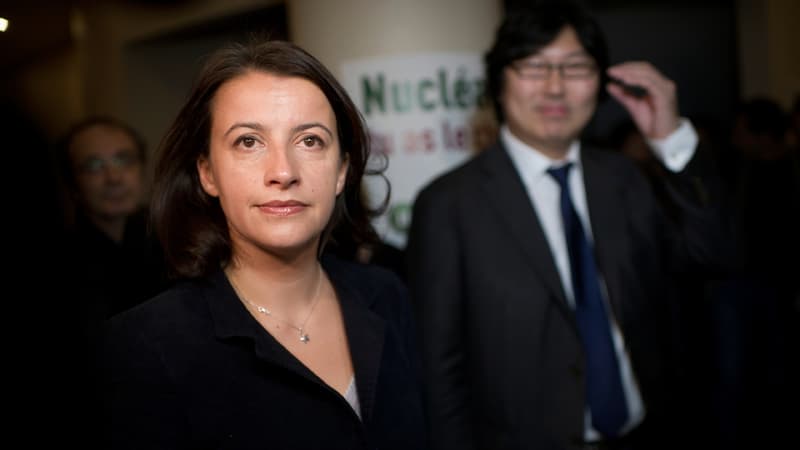 Cécile Duflot et Jean-Vincent Placé le 19 novembre 2011 à Paris.