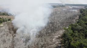 Un incendie fait rage dans la forêt amazonienne près de la ville de Sinop au Brésil
