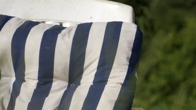 Les accoudoirs doivent être positionnés au même niveau que le poste de travail ou juste en-dessous.