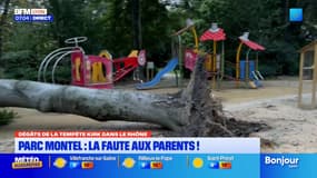 Incident du parc Montel lors de la tempête Kirk: la Ville appelle les parents à la vigilance