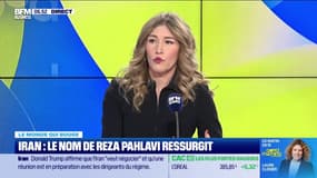 Annalisa Cappellini : Iran, le nom de Reza Pahlavi ressurgit - 12/01
