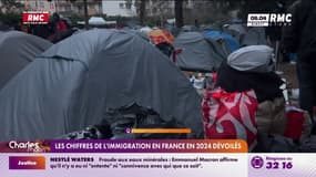 Les chiffres de l'immigration en France en 2024 dévoilés 