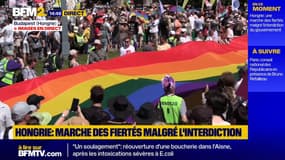 Budapest: une marche des fiertés, malgré l'interdiction du gouvernement