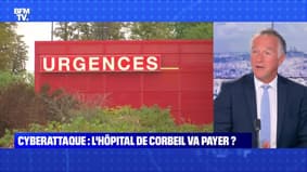 BFMTV répond à vos questions : Pollution, la faute aux plus riches ? - 23/08