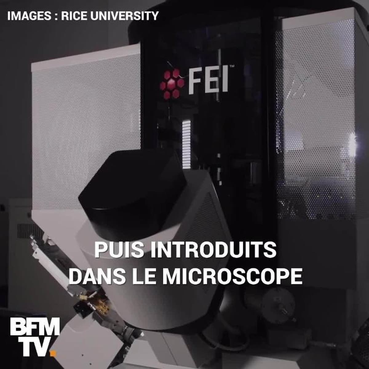 placeholder video