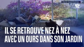 Il se retrouve nez à nez avec un ours dans son jardin