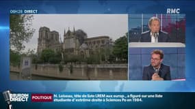 La belle histoire d'un couple de faucons de la cathédrale Notre-Dame