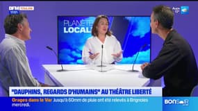 Planète Locale du mercredi 16 octobre - Le films "Dauphins : regards d'humains" au théâtre Liberté