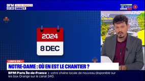 Notre-Dame: où en est le chantier?