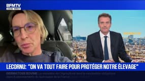 Dermatose bovine: "C'est 10 millions de steaks hachés qui viennent d'être jetés à la poubelle", déclare Véronique Le Floc'h, ancienne présidente de la Coordination Rurale