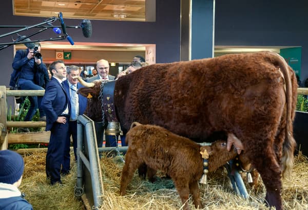Emmanuel Macron écoutant les explications de l'éleveur français Michel Van Simmertier sur sa vache Ovalie, égérie de l'édition 2023 du Salon de l'Agriculture, en train d'allaiter l'un de ses veaux.