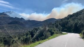 Plus de 1300 hectares sont partis en fumée en Haute-Corse dans la nuit de samedi à dimanche