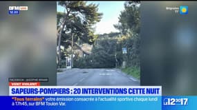 Vent dans le Var: 20 interventions de pompiers en une nuit