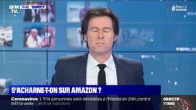 La justice s'acharne-t-elle sur Amazon ? 